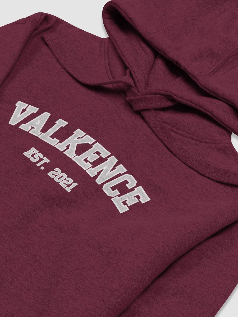 Varsity Hoodie product image (27)