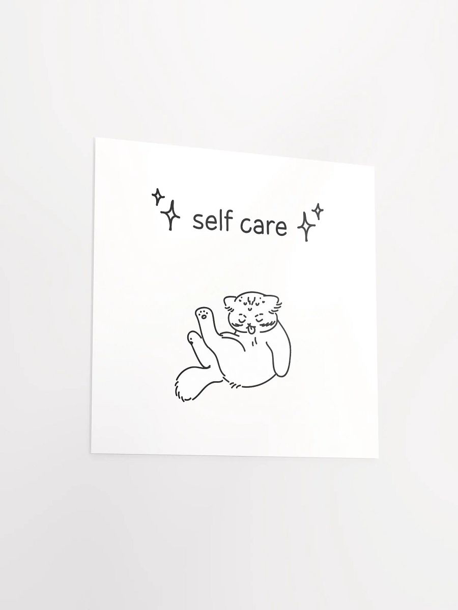 Self Care Manul - Matte Poster product image (3)