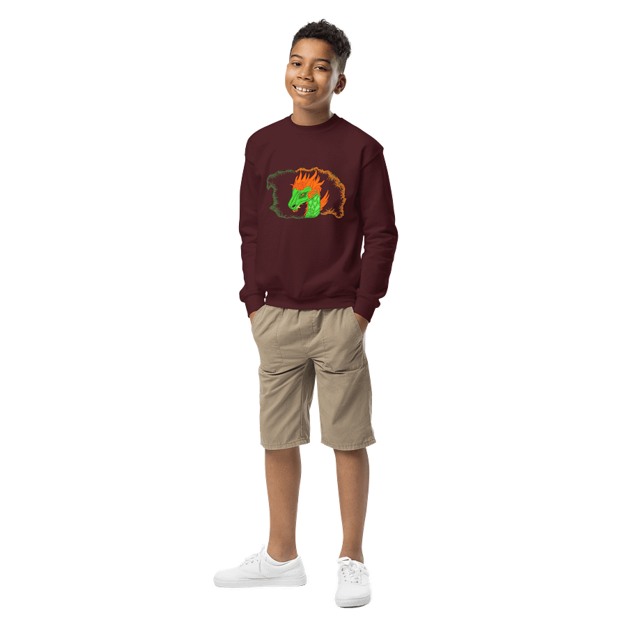Dragon Fire Youth Sweatshirt product image (1)
