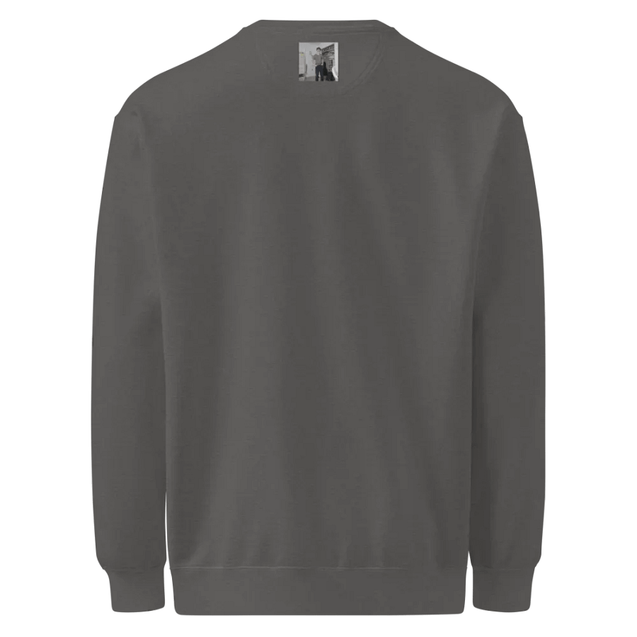 Milo Bass Rush Tour 2025 (Comfort Colors Unisex Garment-Dyed Sweatshirt) product image (2)