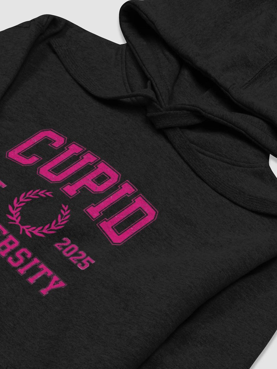 Cupid University Premium Hoodie product image (9)