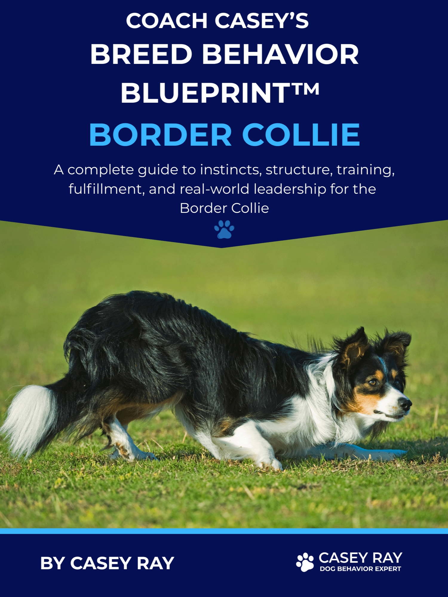 Coach Casey’s Breed Behavior Blueprint™ - Border Collie product image (1)