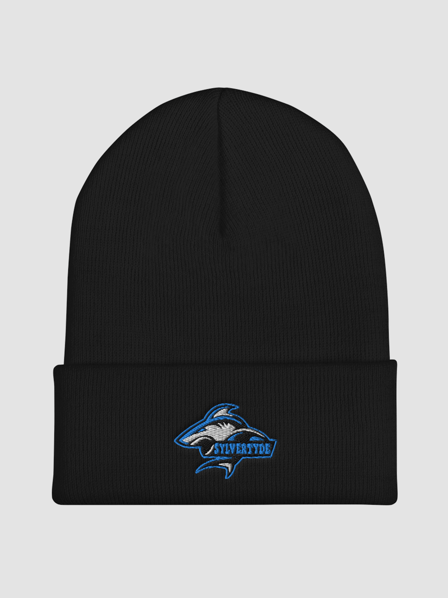 Sylver's Cuffed Beanie product image (1)