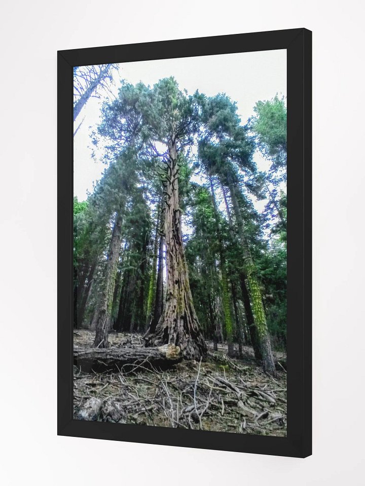 ancient times product image (4)