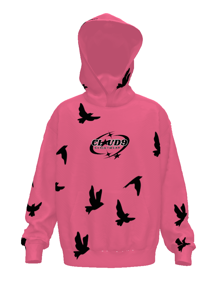 CLOUD9 praying hoodie product image (1)