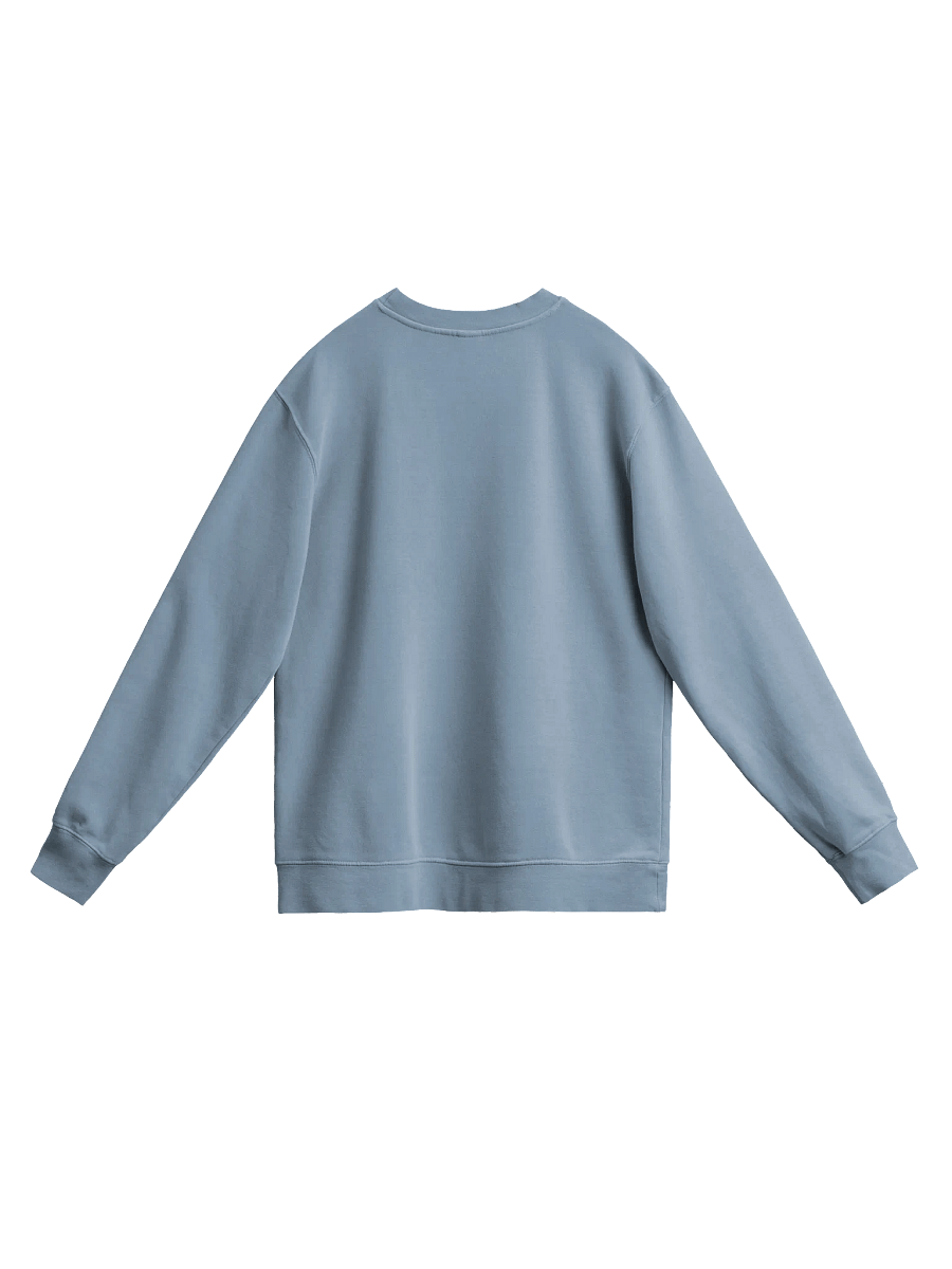 Pigment Dyed Sweatshirt with PainkillerLee Logo product image (27)