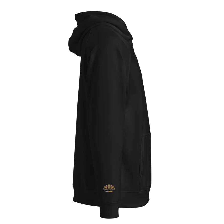 Noble Aviation Hoodie with F-22 product image (3)