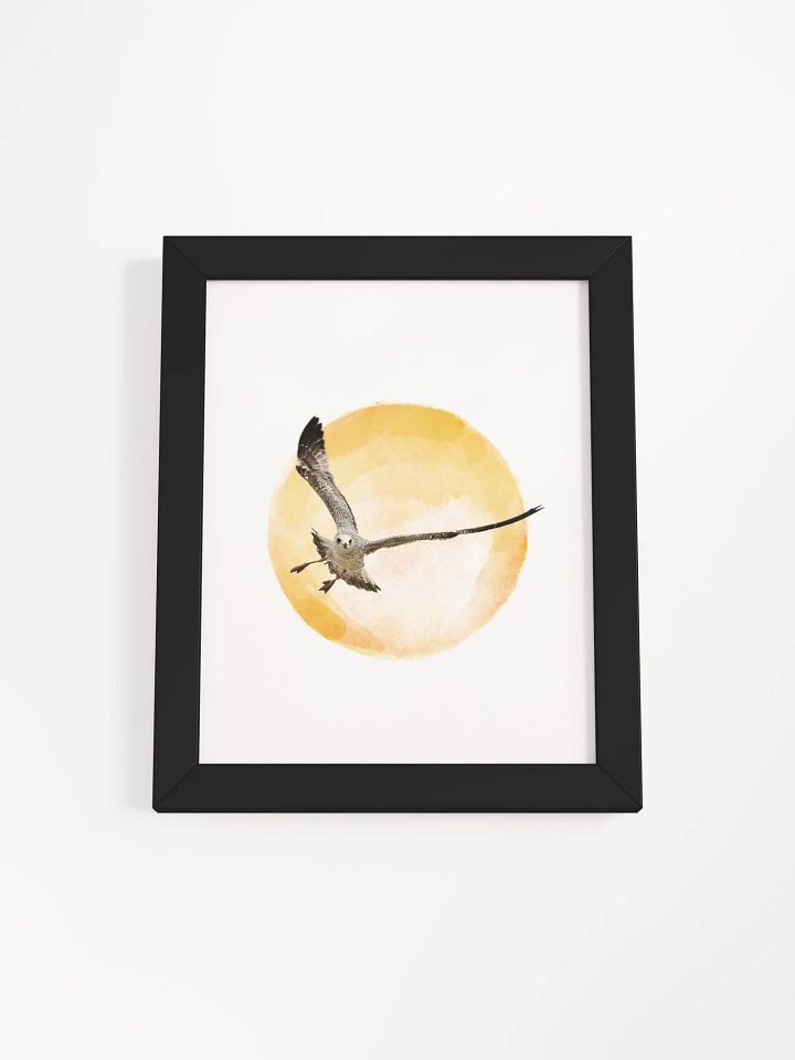 Young Sun Gull Framed Print product image (28)