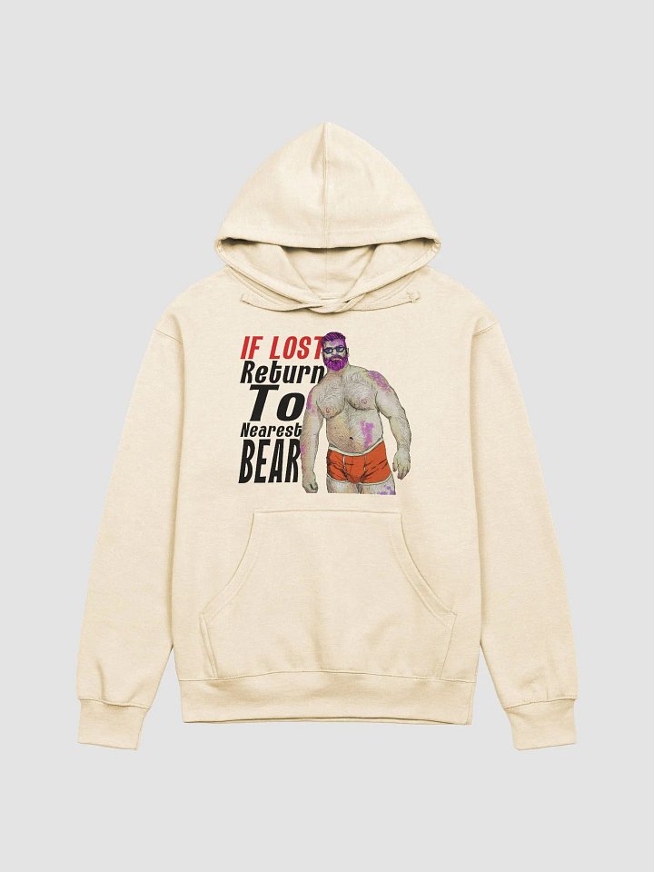 Lost Bear Hoodie product image (1)
