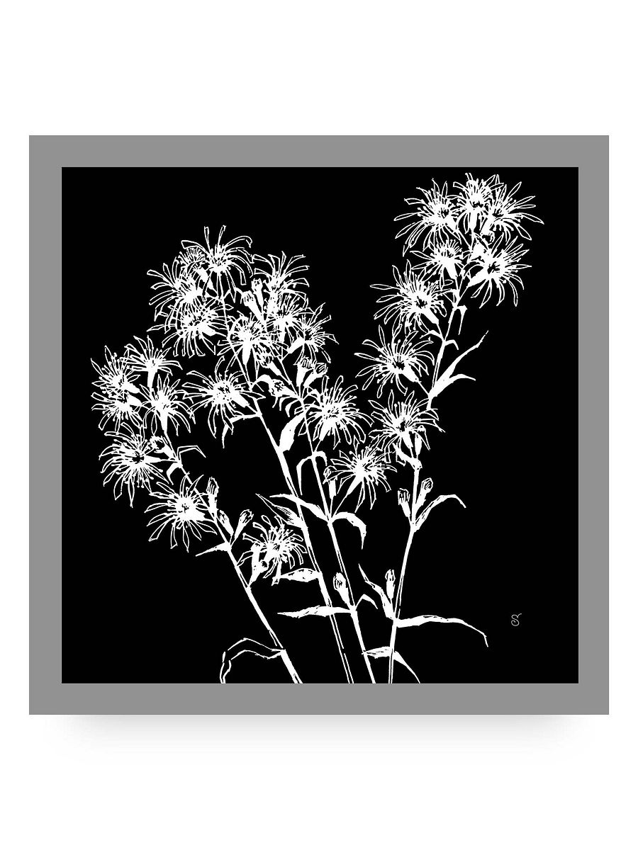 Botanical Bliss Canvas - Bouquet Flowers Dark product image (105)