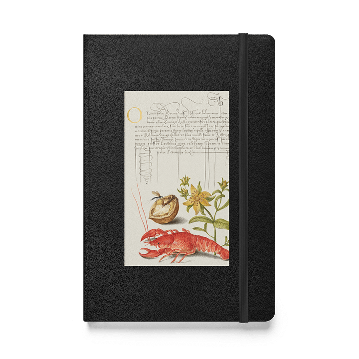 Ornate Botanical and Zoological Notebook product image (1)