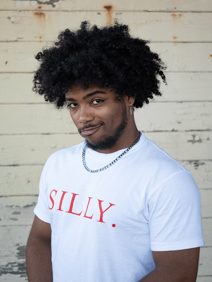 The Silly Shirt product image (2)