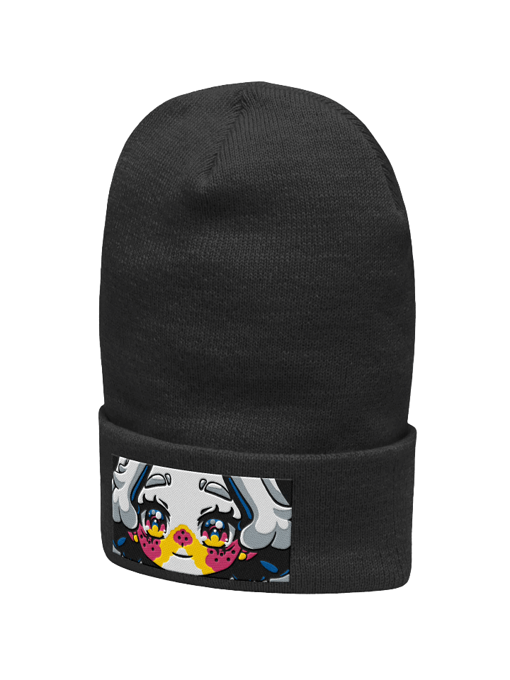 Squiiji Embroidered Beanie product image (7)