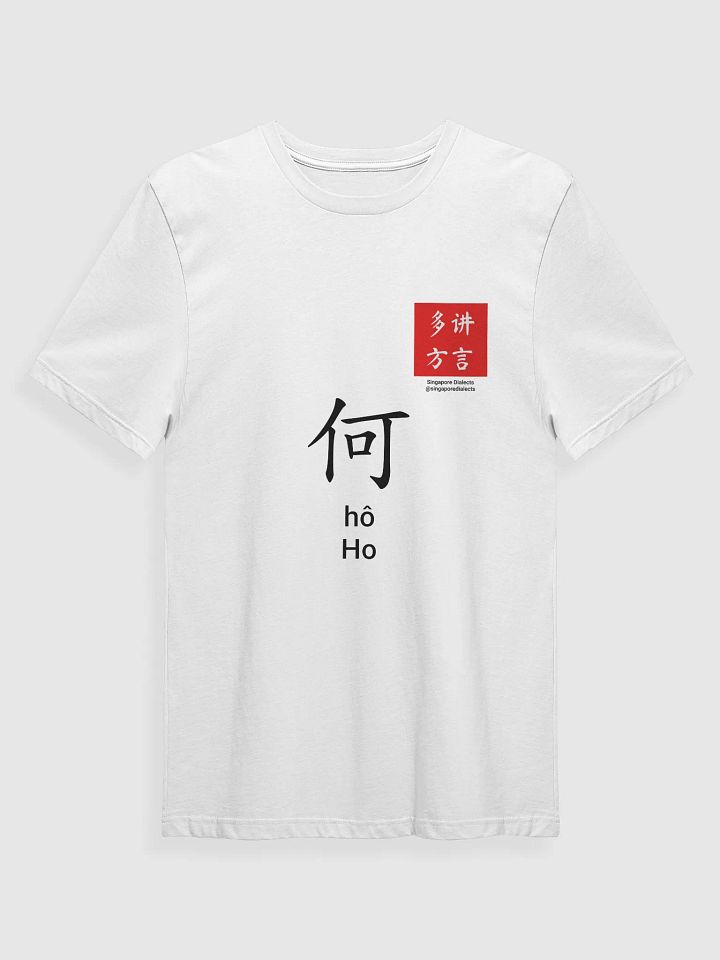何 Ho (Hokkien) Surname T-Shirt (Light) product image (1)