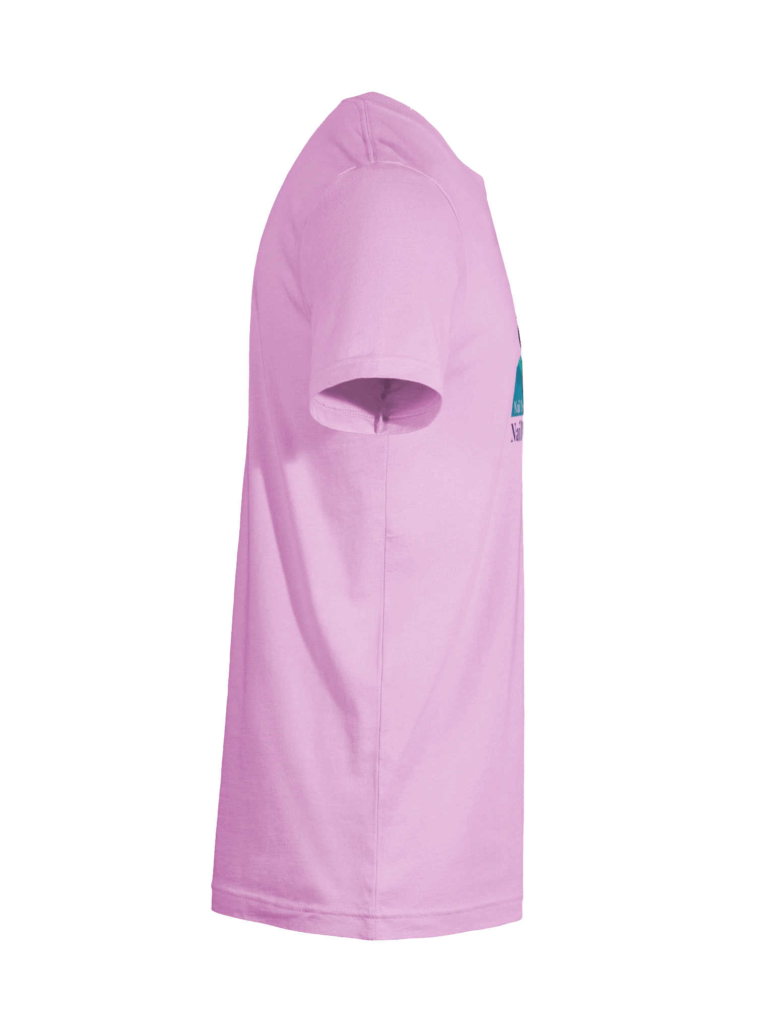 2026 Smokies Nail Show T-Shirt product image (12)