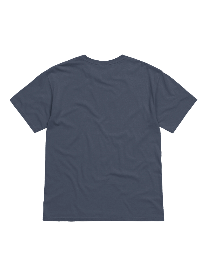 APAMSA Varsity T-shirt product image (2)