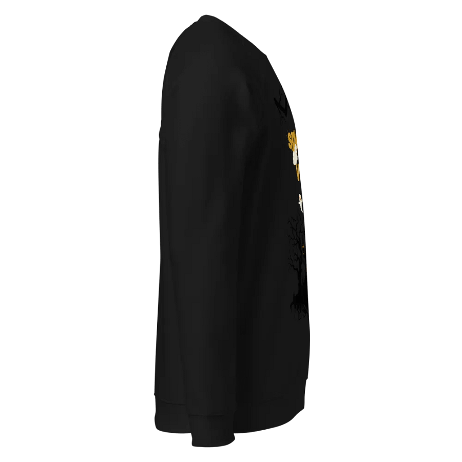 Spooky Vibes Organic Raglan Sweatshirt product image (9)