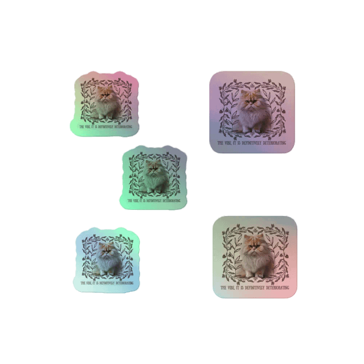 KC, The Vibe Is Deteriorating (floofy cat), Holo Sticker Pack product image (2)