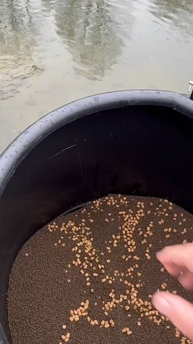 Fishing pressure 

Daily fishing pressure will educate your bass population in a negative way.  I have  conducted electrofish...