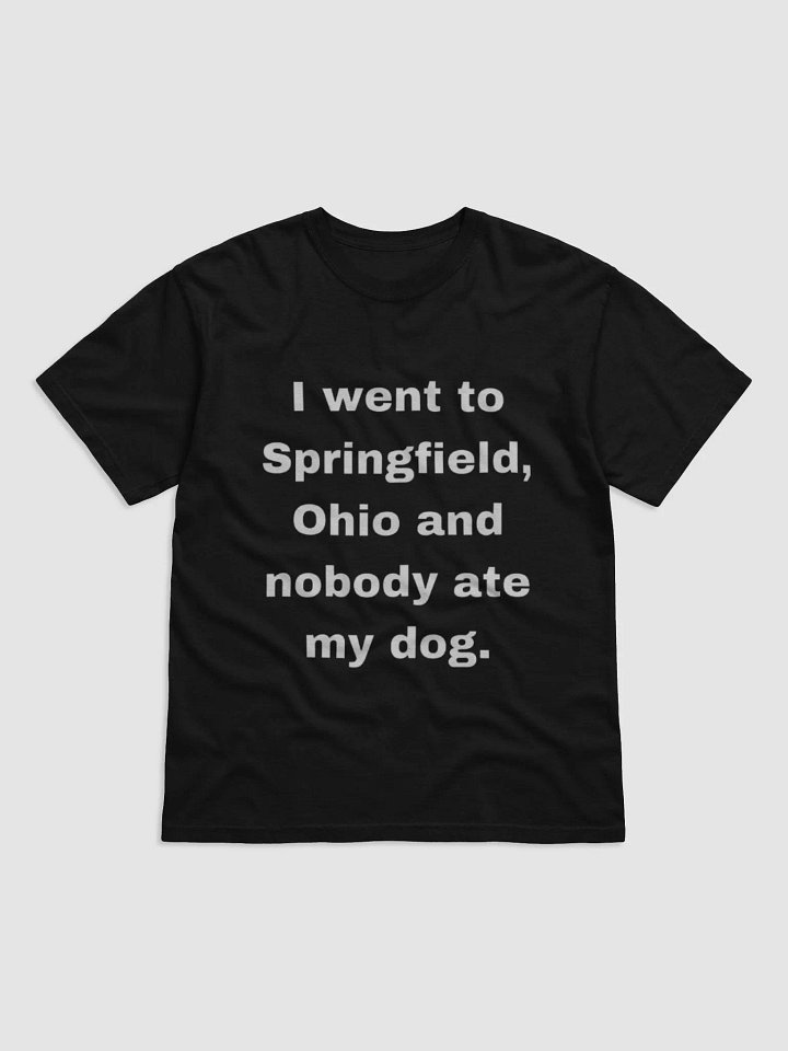 Springfield, Ohio Statement Tee product image (1)