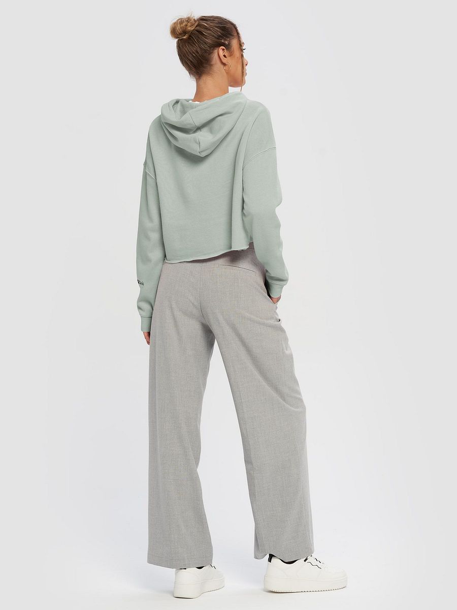 Peak and Pit Cropped Hoodie product image (6)