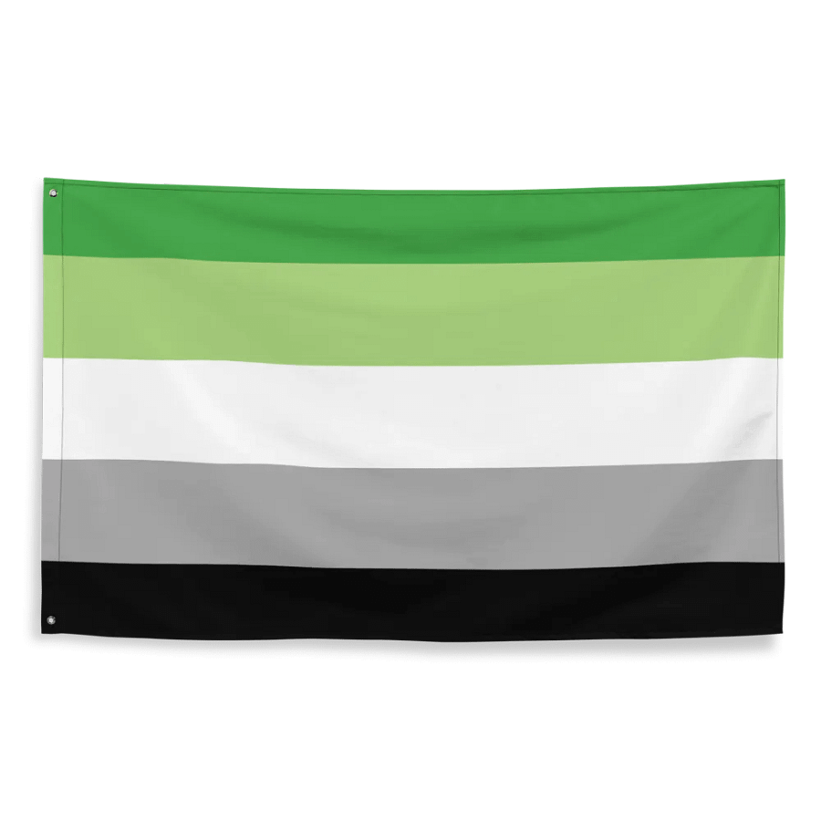 Aromantic Flag product image (2)