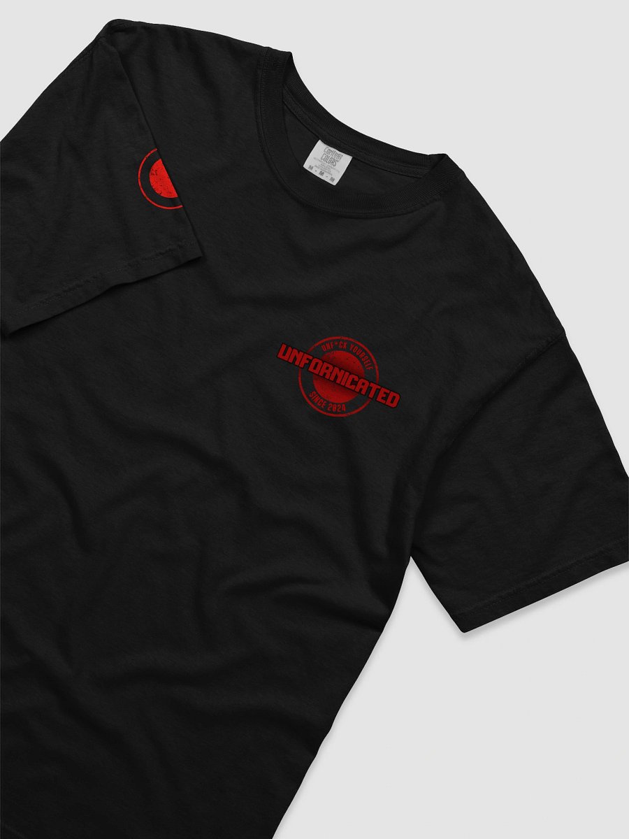The Unfornicated Files: DECLASSIFIED Relaxed Tee product image (4)