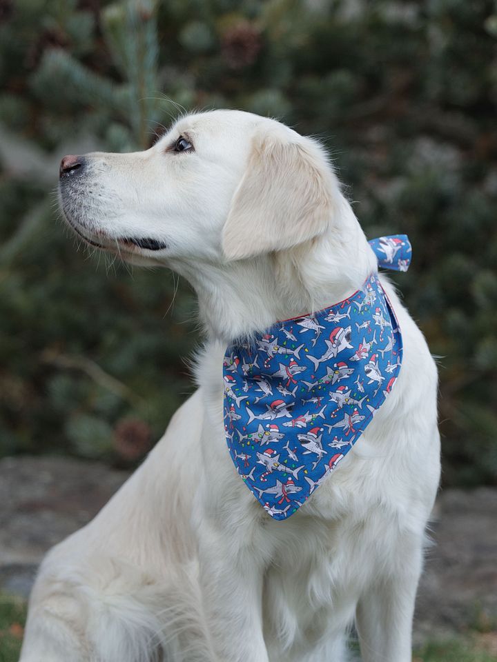 Holiday Sharks Bandana product image (1)