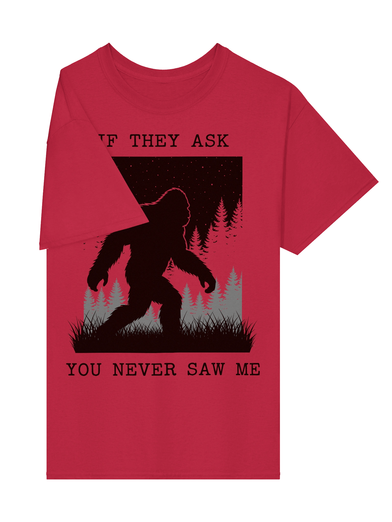If They Ask You Never Saw Me - Tee product image (11)