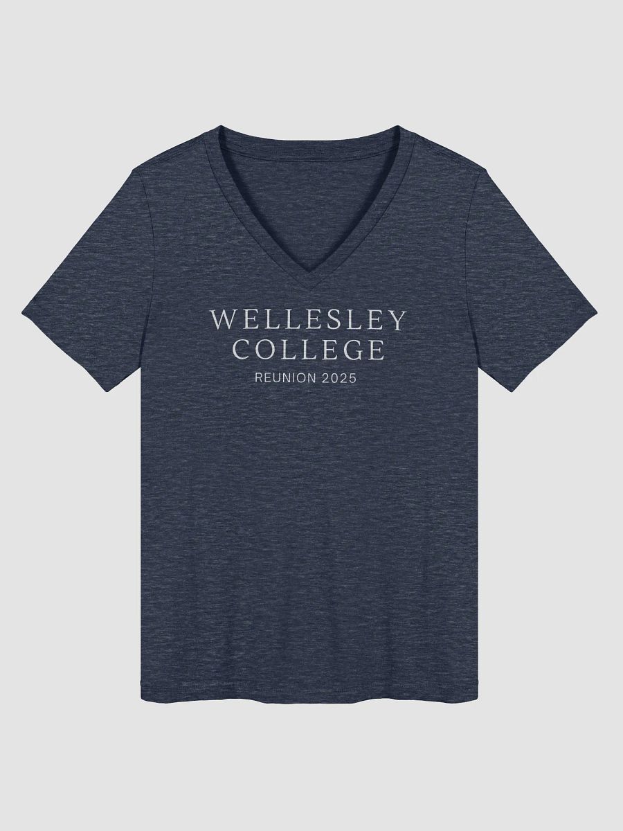 Minimalist Serif Reunion V-Neck with Small Wellesley College Seal on Back product image (1)