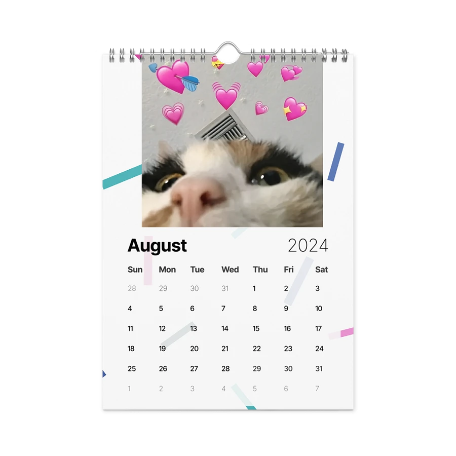 Wall Calendar (2024): Meme Cats product image (4)