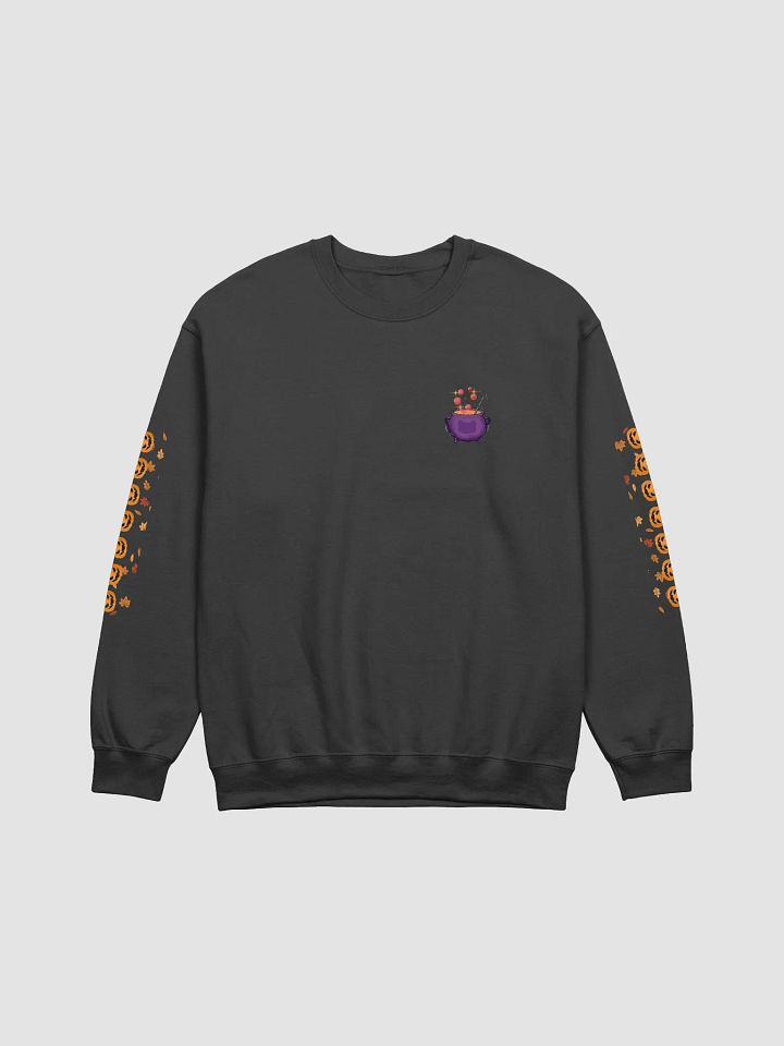 Pumpkin Witch Panda Sweatshirt - Front Design product image (1)
