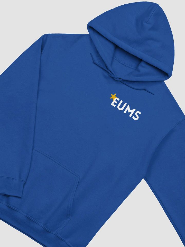 Hoodie - EUMS - Blue & Varients product image (2)