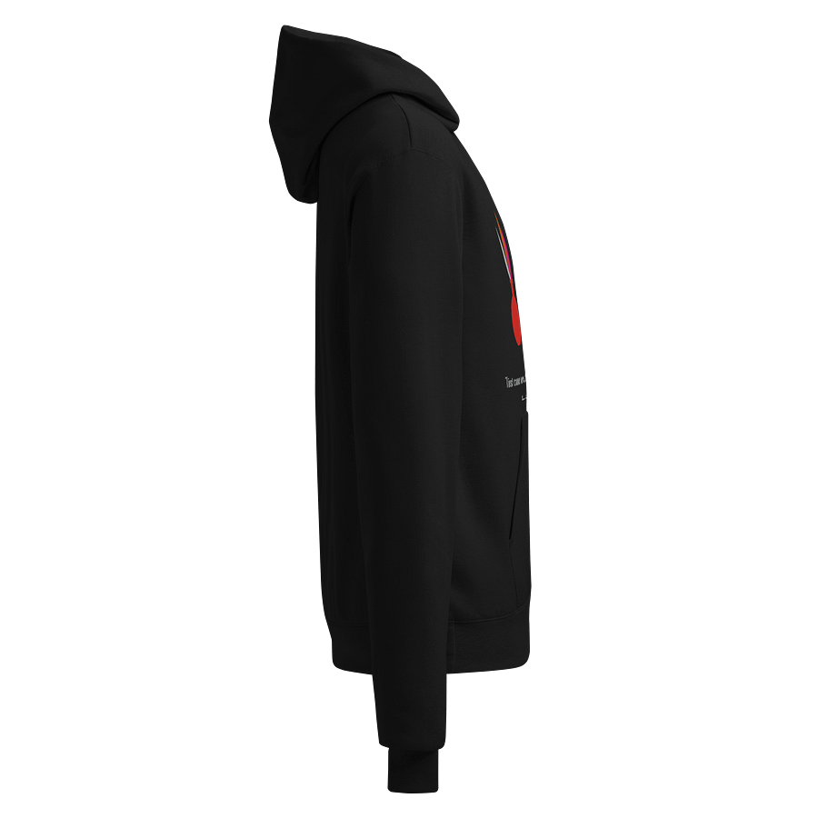Sunlit Feathers Champion Hoodie product image (4)