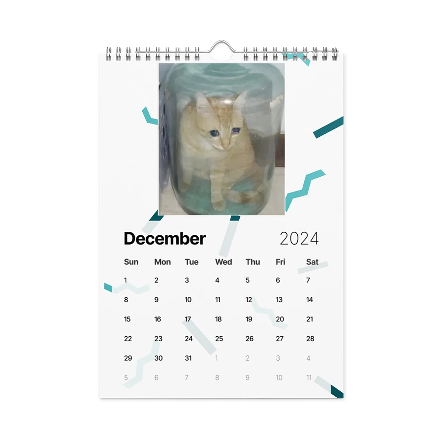 Wall Calendar (2024): Meme Cats product image (6)