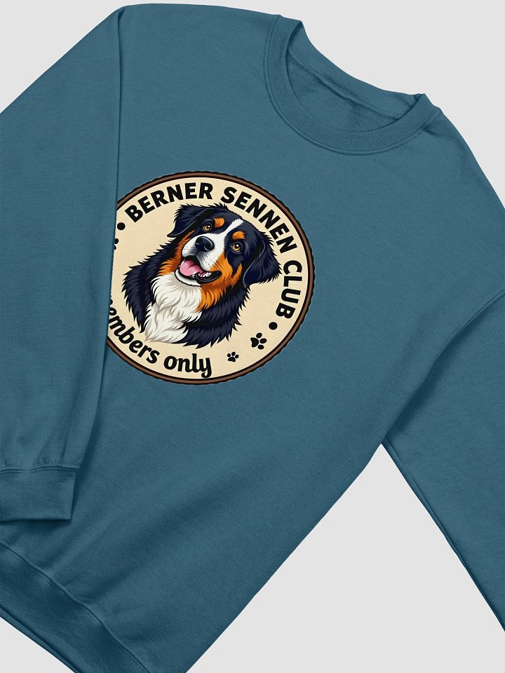 Berner Sennen dog Sweater, no. BS002 product image (23)