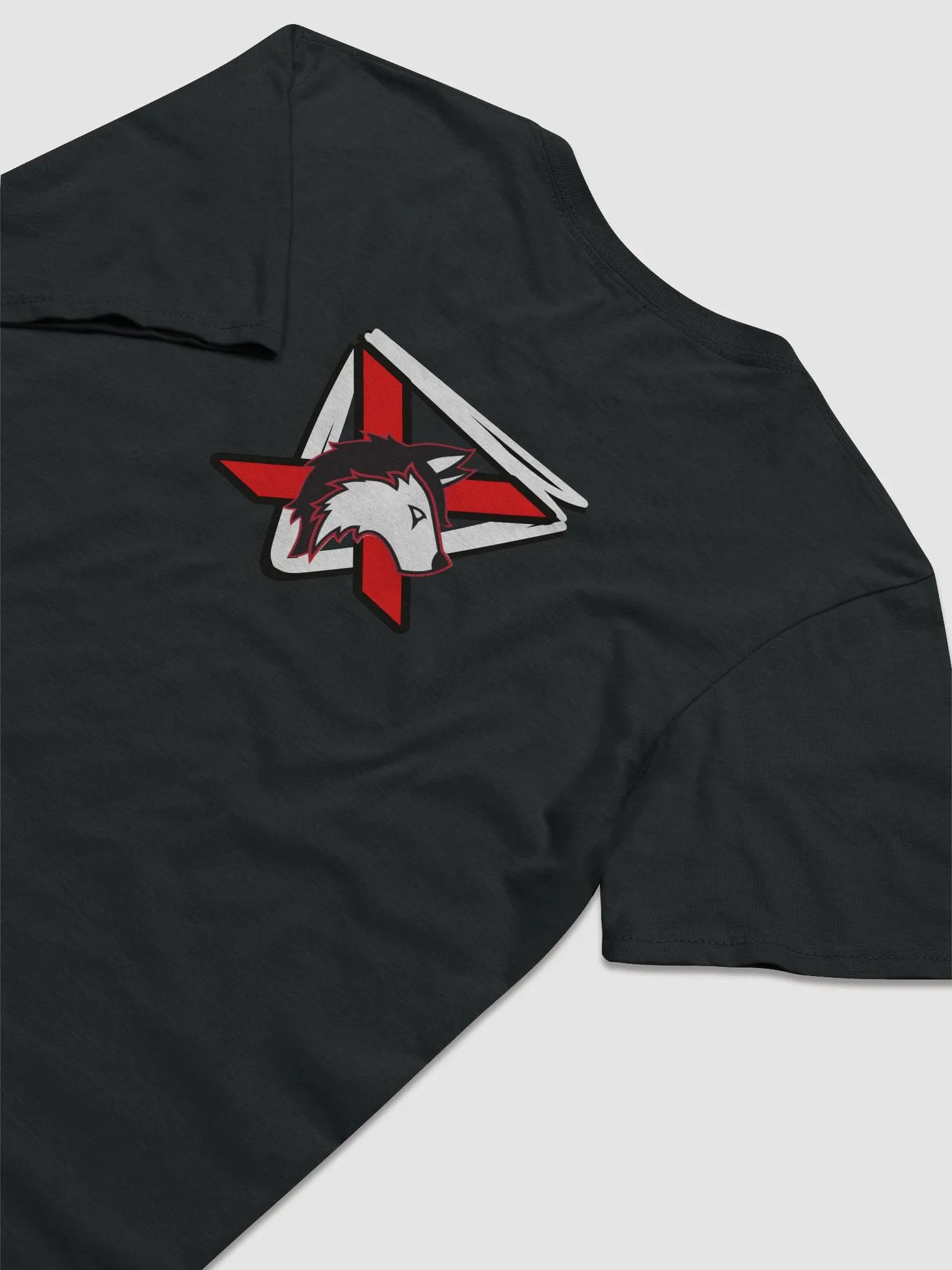 AlphaXSynergy Gildan Lightweight Fashion Short Sleeve T-Shirt Front Left Logo & Back product image (8)