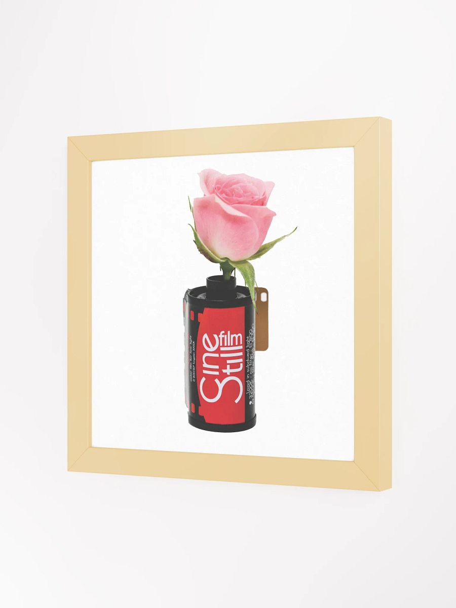 Cinestill Rose Framed Poster Print product image (18)