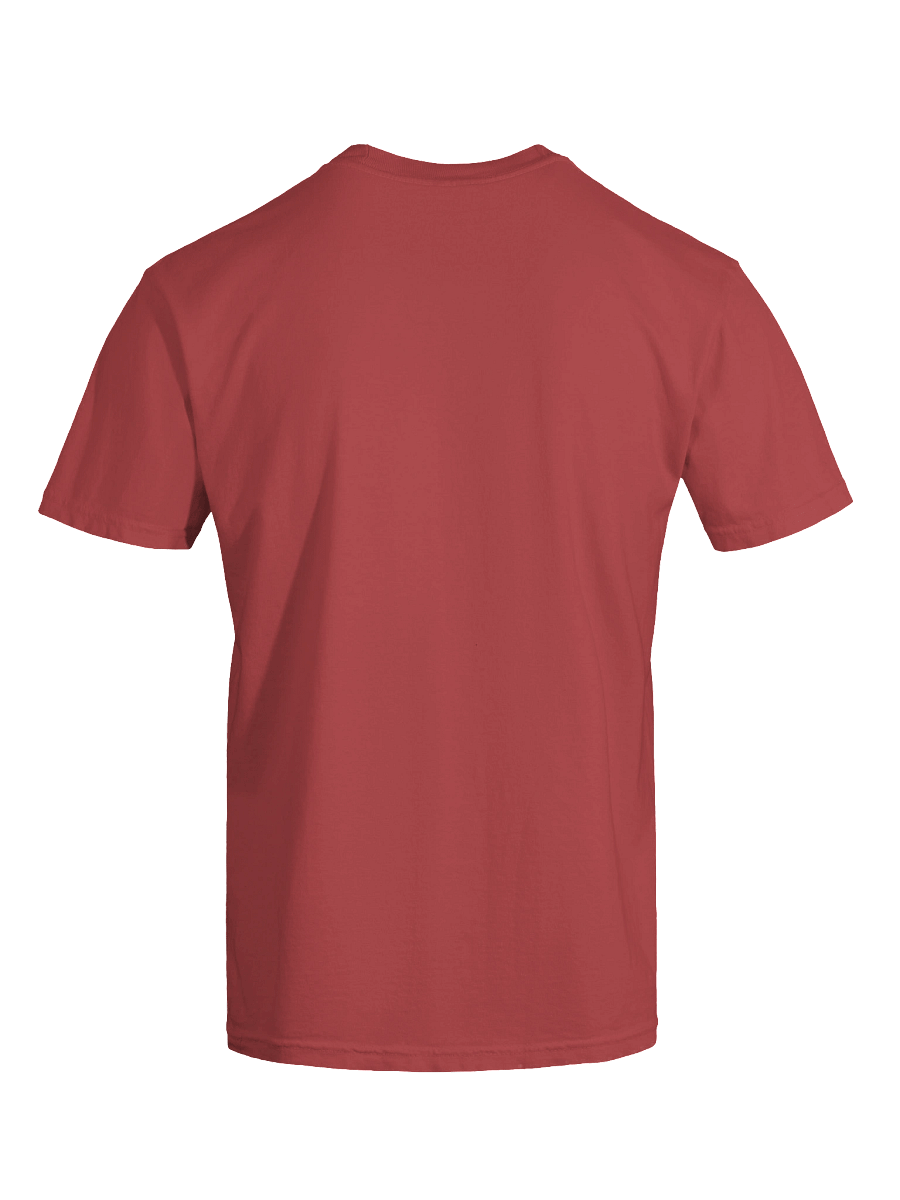 SOCIAL BATTERY 1% REMAINING Graphic Tee product image (30)