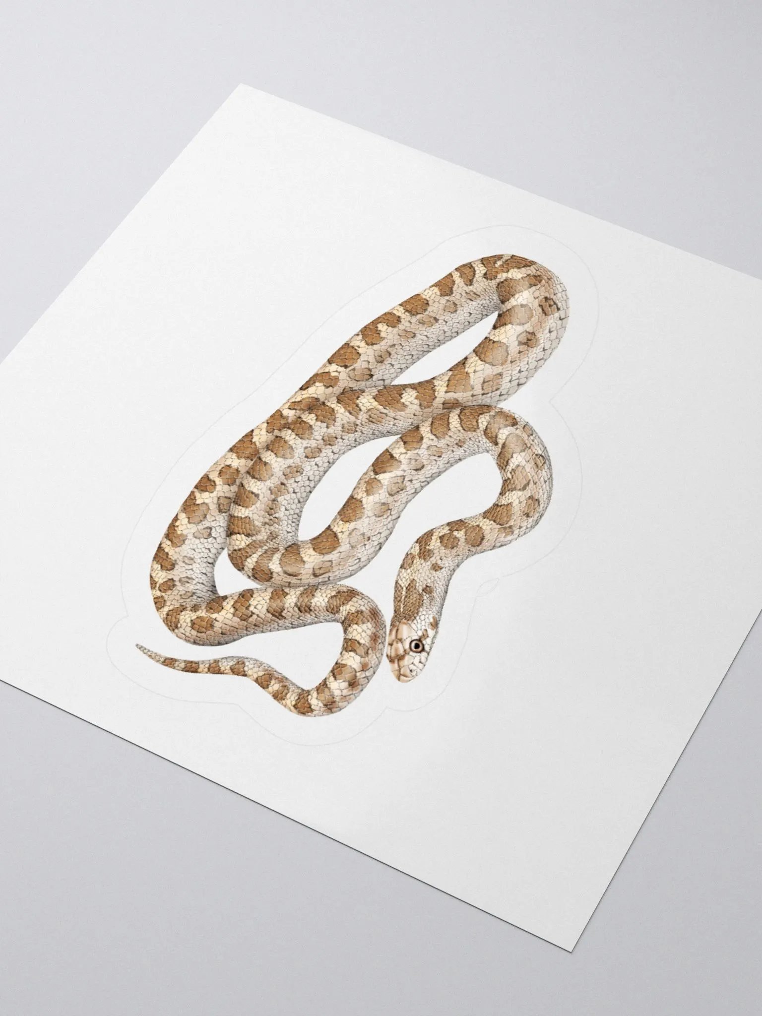Die-Cut Sticker – Glossy Snake product image (7)