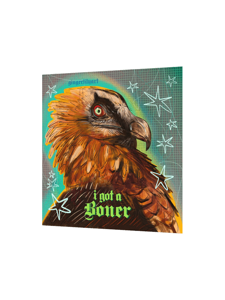 bearded vulture print product image (4)
