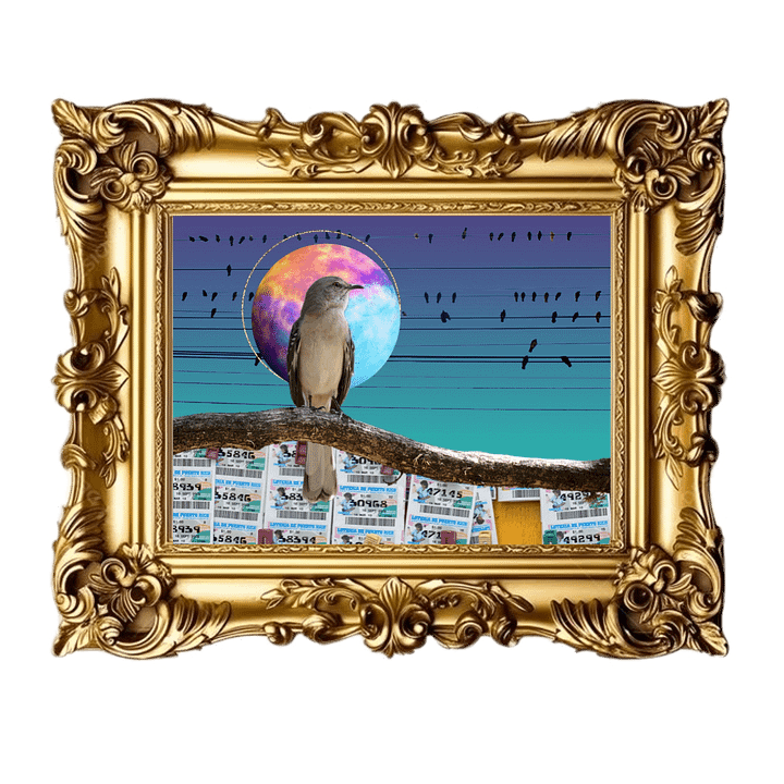 Loteria product image (1)