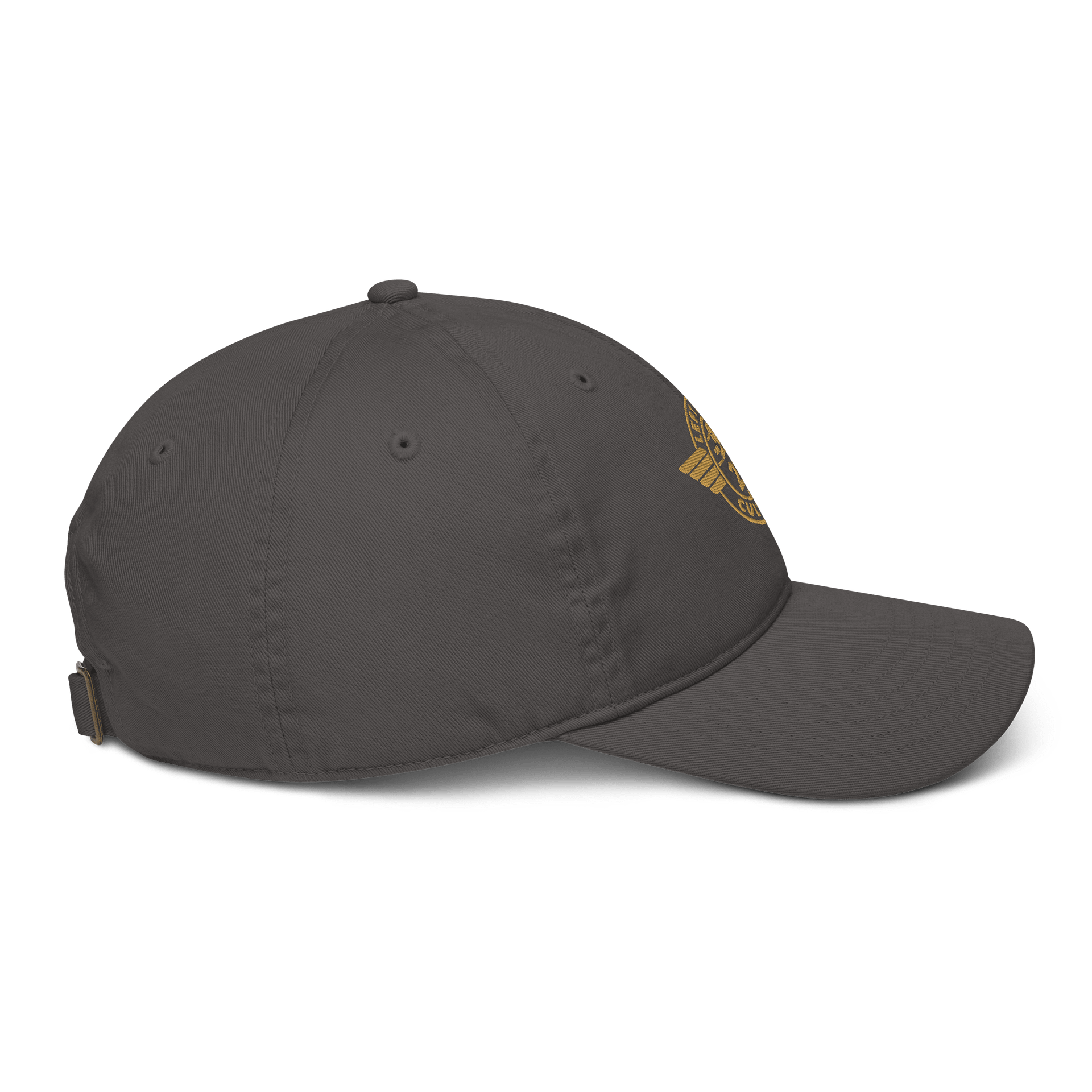 Left Seat Culture Cap - Grey / Gold product image (5)