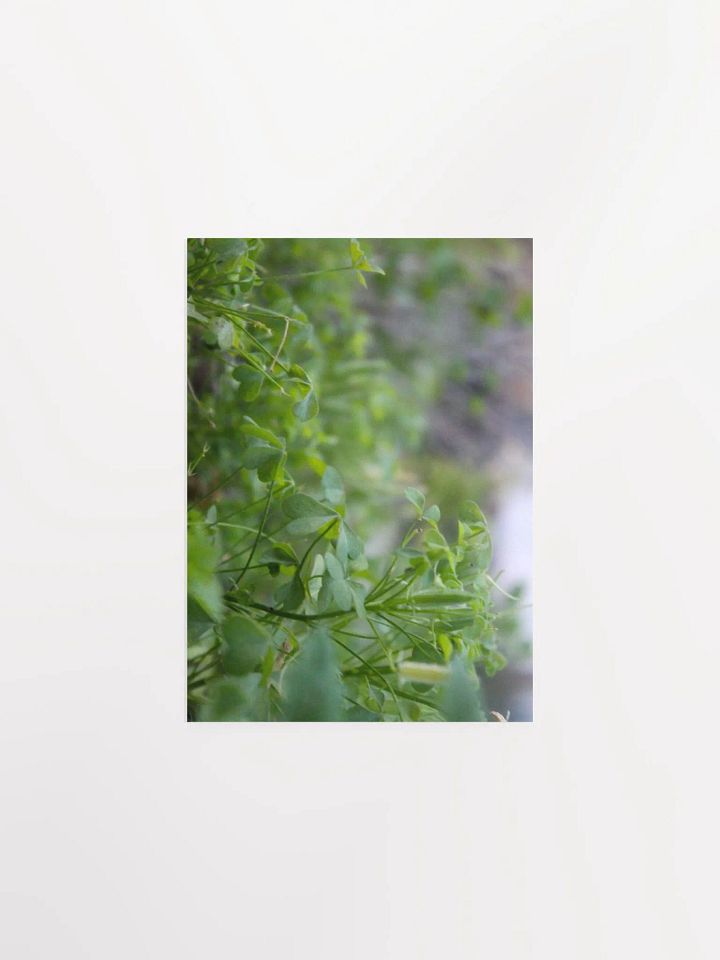 A Study in Flowers 7 product image (7)