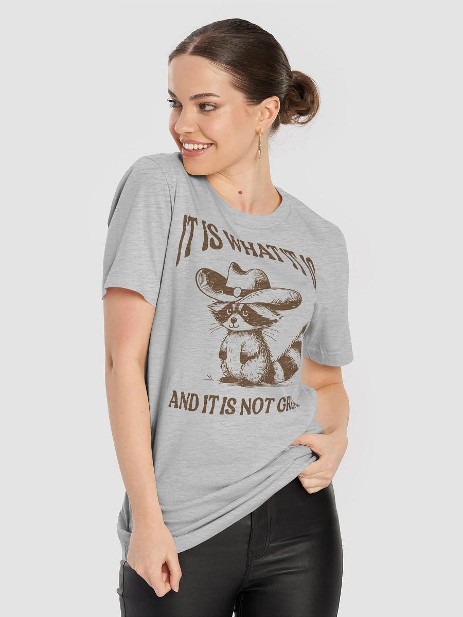 It Is What It Is and It Is Not Great Funny Raccoon T-Shirt product image (8)