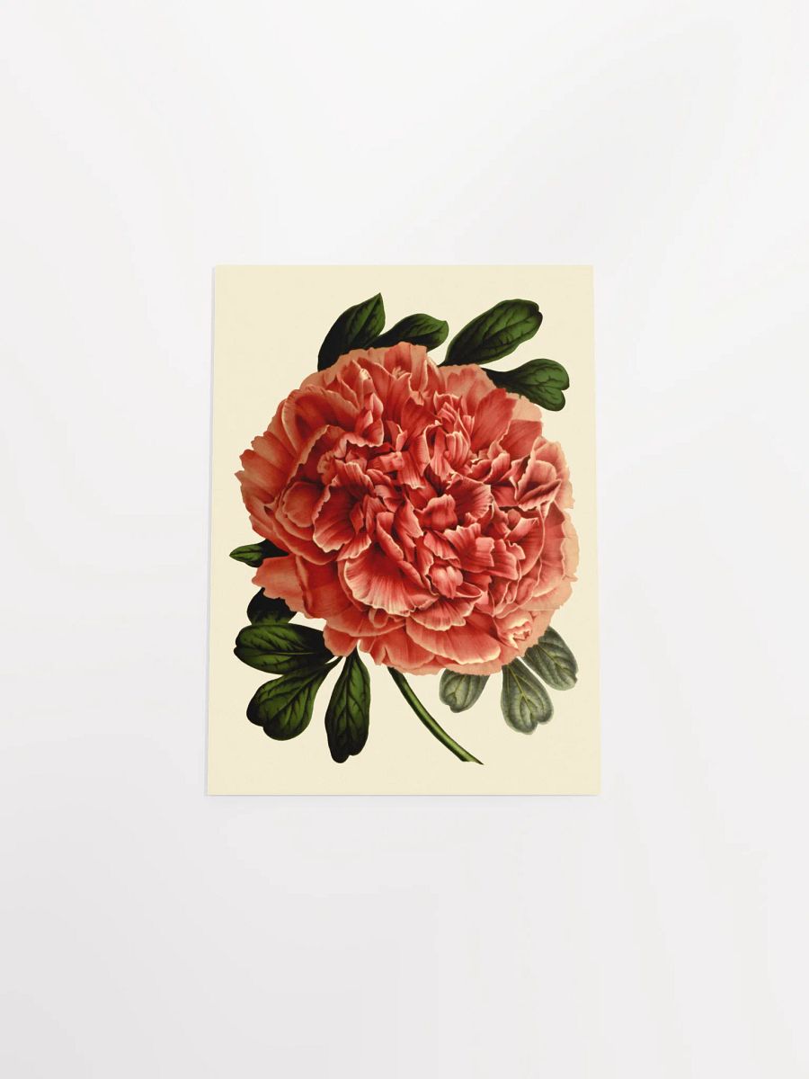 Red Blossom Poster Print product image (7)