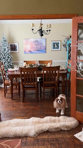 Need #Christmas inspiration? I threw the coziest little Alpine Christmas Party for my girlfriends to get in the holiday spiri...