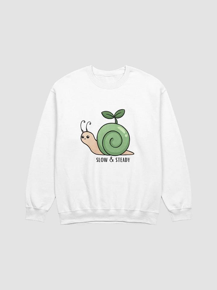 Slow & Steady Snail Sweatshirt product image (41)