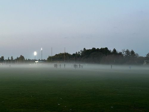 #americanfootball in the mists of fall 😂 #örebroblackknights