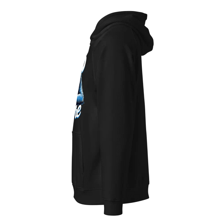 Chill Sloth Eco Raglan Hoodie product image (6)